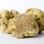 Tartufo bianco del Monferrato